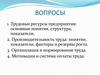 Трудовые ресурсы предприятия: основные понятия, структура, показатели