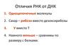 Отличия РНК от ДНК