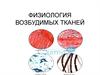 Физиология возбудимых тканей