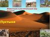 Животный и растительный мир пустынь