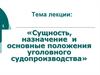 Сущность, назначение и основные положения уголовного судопроизводства