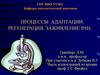 Процессы адаптации. Регенерация. Заживление ран
