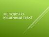 Желудочно-кишечный тракт