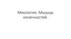 Миология. Мышцы конечностей
