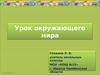 Урок окружающего мира. Кто такие птицы