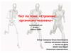 Строение организма человека