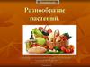 Разнообразие растений