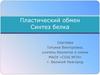 Пластический обмен. Синтез белка