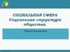 Социальная структура общества