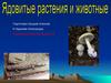 Ядовитые растения и животные