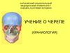 Учение о черепе (краниология)