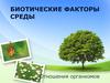 Биотические факторы среды. Отношения организмов