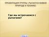 Рычаги в природе и технике