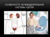 Особенности мочевыделительной системы у детей