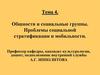 Общности и социальные группы. Проблемы социальной стратификации и мобильности. (Тема 4)