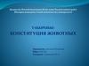 Конституция животных