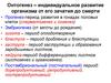 Онтогенез – индивидуальное развитие организма от его зачатия до смерти