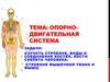 Опорно-двигательная система