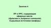 Занятие 4. ЛР и ЛРС, содержащие эфирные масла (Apiaceae и Juniperus communis). Сырьевые источники камфоры