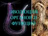 Эволюция органов и функций