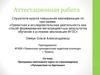 Аттестационная работа. Программа элективного курса по страноведению «Путешествие по Британии»