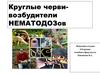 Круглые черви возбудители нематодозов