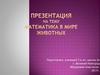 Математика в мире животных