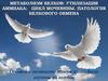 Метаболизм белков: утилизация аммиака; Цикл мочевины. Патология белкового обмена