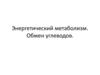 Энергетический метаболизм. Обмен углеводов
