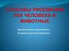 Способы рисования уха человека и животных
