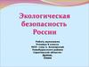 Экологическая безопасность России
