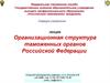 Организационная структура таможенных органов Российской Федерации