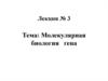 Молекулярная биология гена