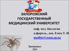Медицинская арахноэнтомология. Насекомые возбудители и переносчики возбудителей инфекций. (Лекция 9)