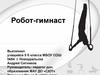 Робот-гимнаст (5 класс)