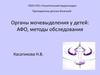 Органы мочевыделения у детей: АФО, методы обследования