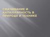 Смачивание и капиллярность в природе и технике