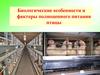 Биологические особенности и факторы полноценного питания птицы