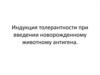 Индукция толерантности при введении новорожденному животному антигена