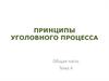 Принципы уголовного процесса