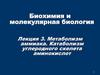 Метаболизм аммиака. Катаболизм углеродного скелета аминокислот. (Лекция 3)