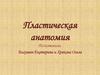 Пластическая анатомия. Золотое сечение
