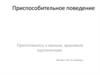 Приспособительное поведение
