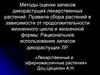 Методы оценки запасов дикорастущих лекарственных растений. Правила сбора растений. Рациональное использование запасов