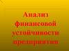 Анализ финансовой устойчивости предприятия. Промышленное предприятие ООО «РИМЕРА-Сервис»