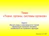 Ткани, органы, системы органов
