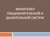 Филлогенез пищеварительной и дыхательной систем