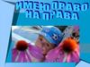 Права детей