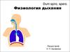 Физиология дыхания