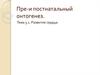 Пре-и постнатальный онтогенез. Развитие сердца